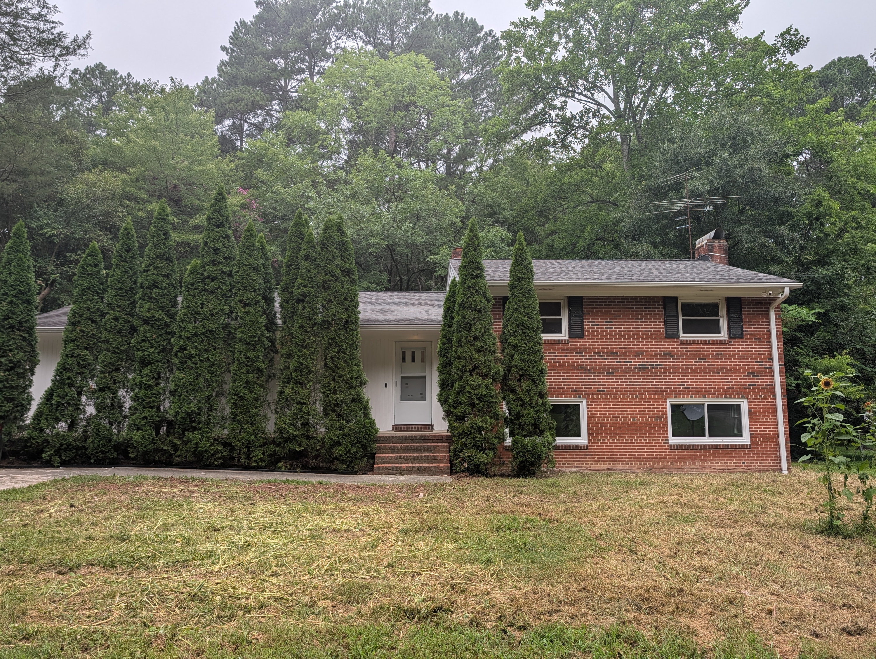 514 Morreene Road